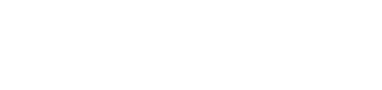 VOICE