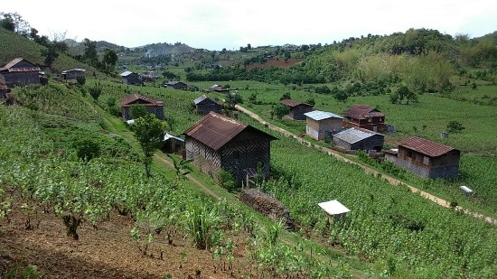 linlea_village