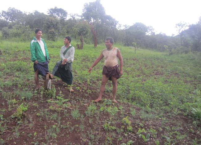 ミャンマー農家