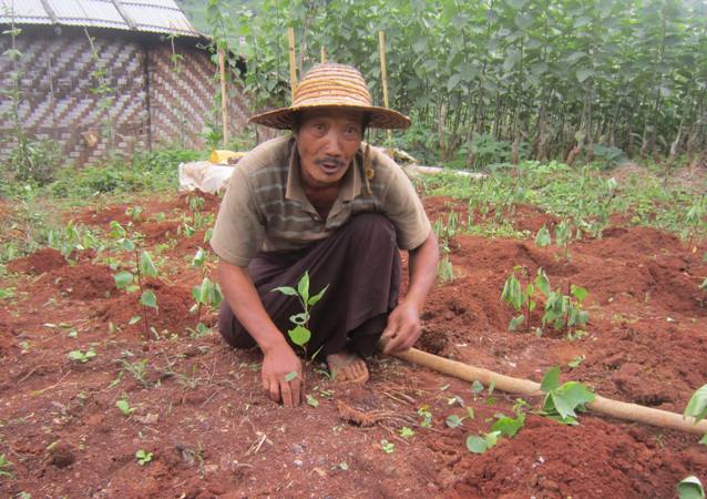 ミャンマー農家