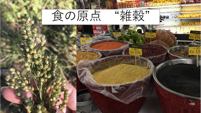 farm9